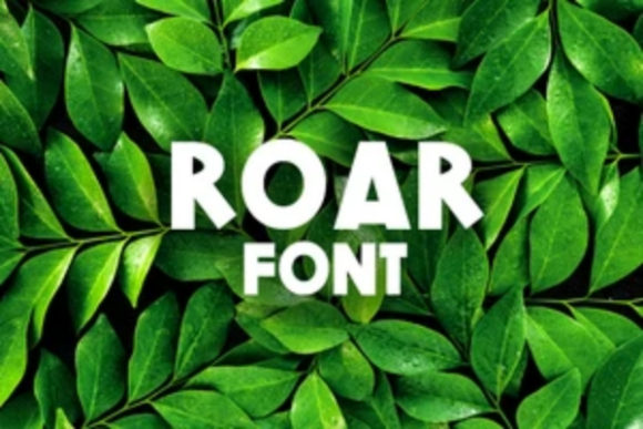 Roar and Summer: A Classic Yet Friendly Display Typeface